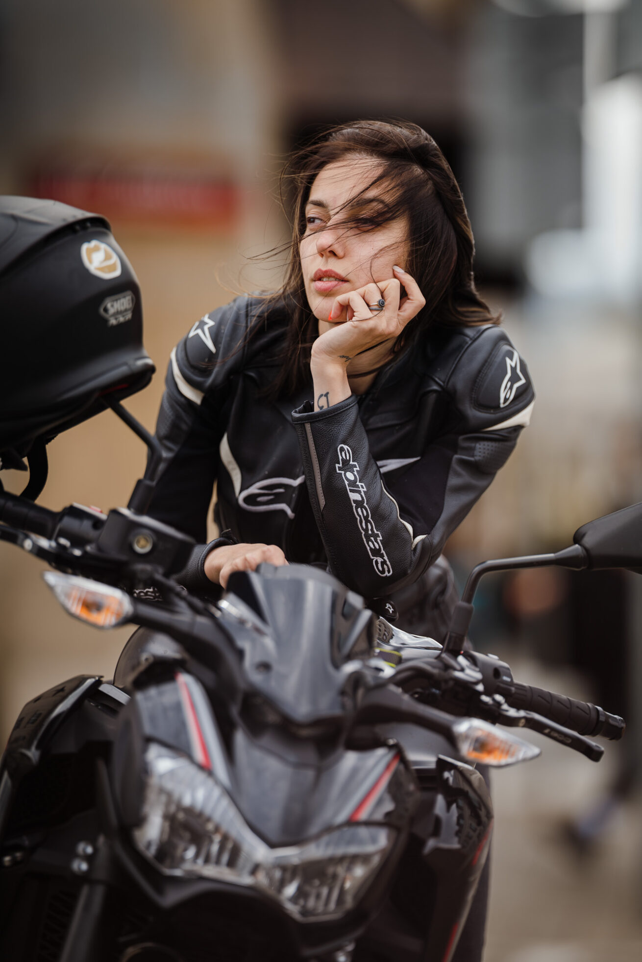 Sigma 135 1.4 DG Art