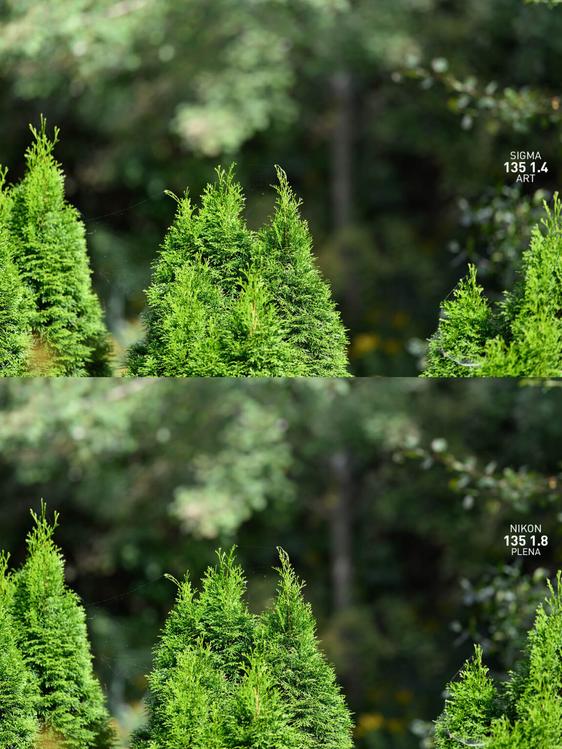 Sigma 135 1.4 DG Art