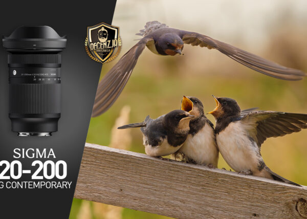 Sigma 20-200 DG Contemporary