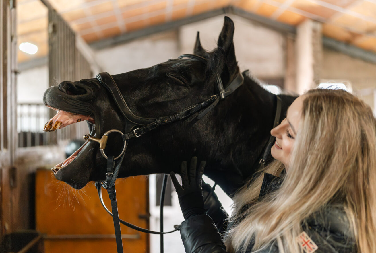 Sigma 35 1.4 DG II Art