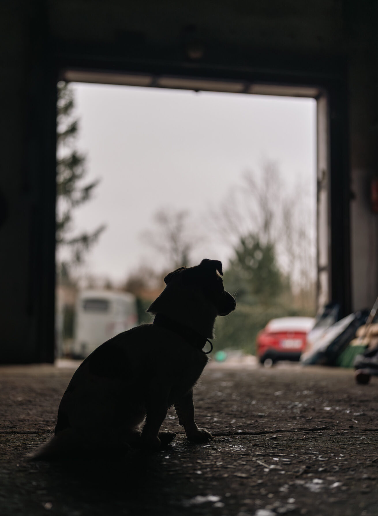 Sigma 35 1.4 DG II Art