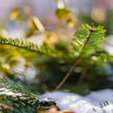 Sigma 35 1.4 DG II Art