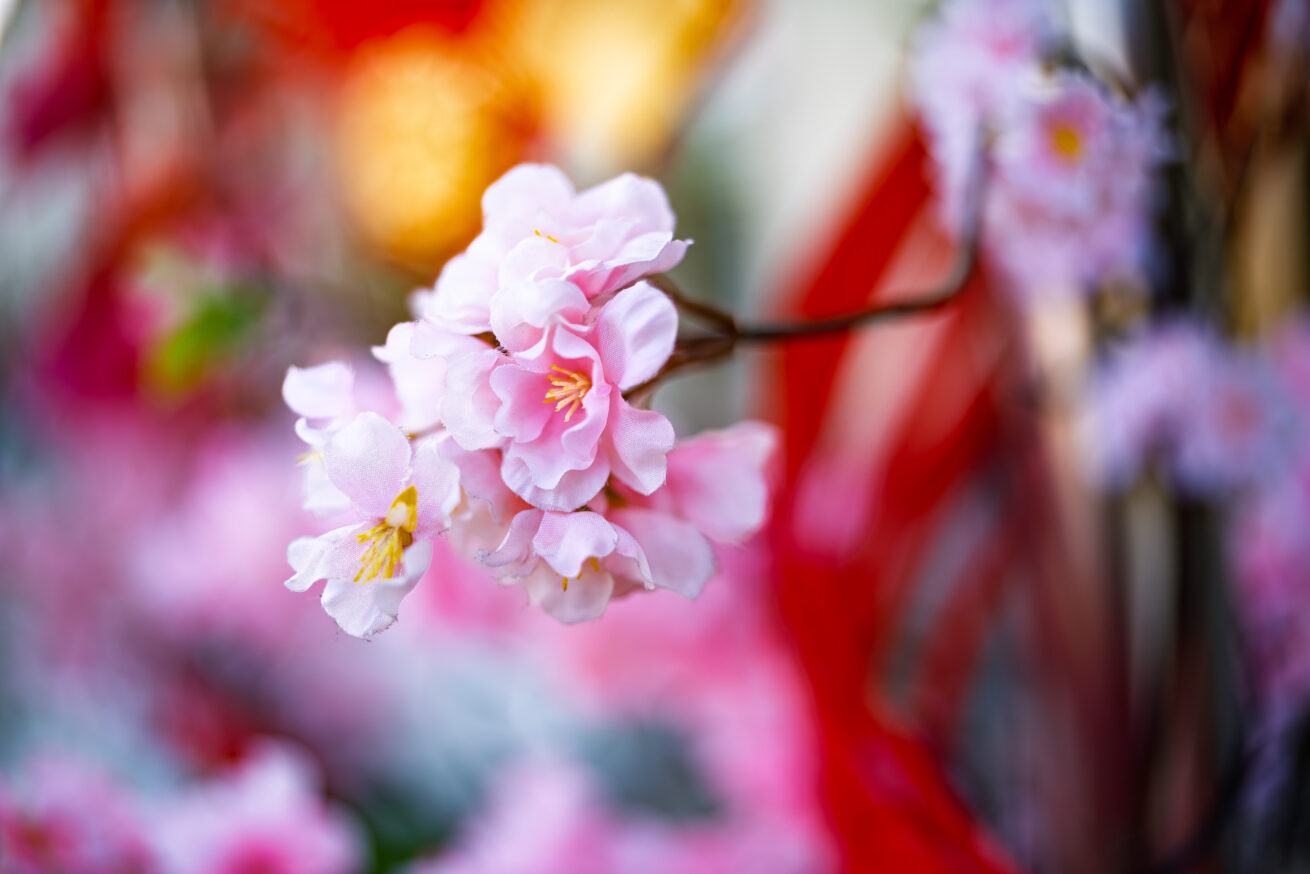 Sigma 35 1.4 DG II Art