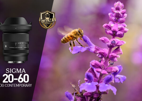 Sigma 20-60 Contemporary - Test i recenzja