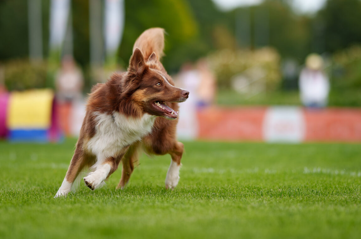thumbnail-image